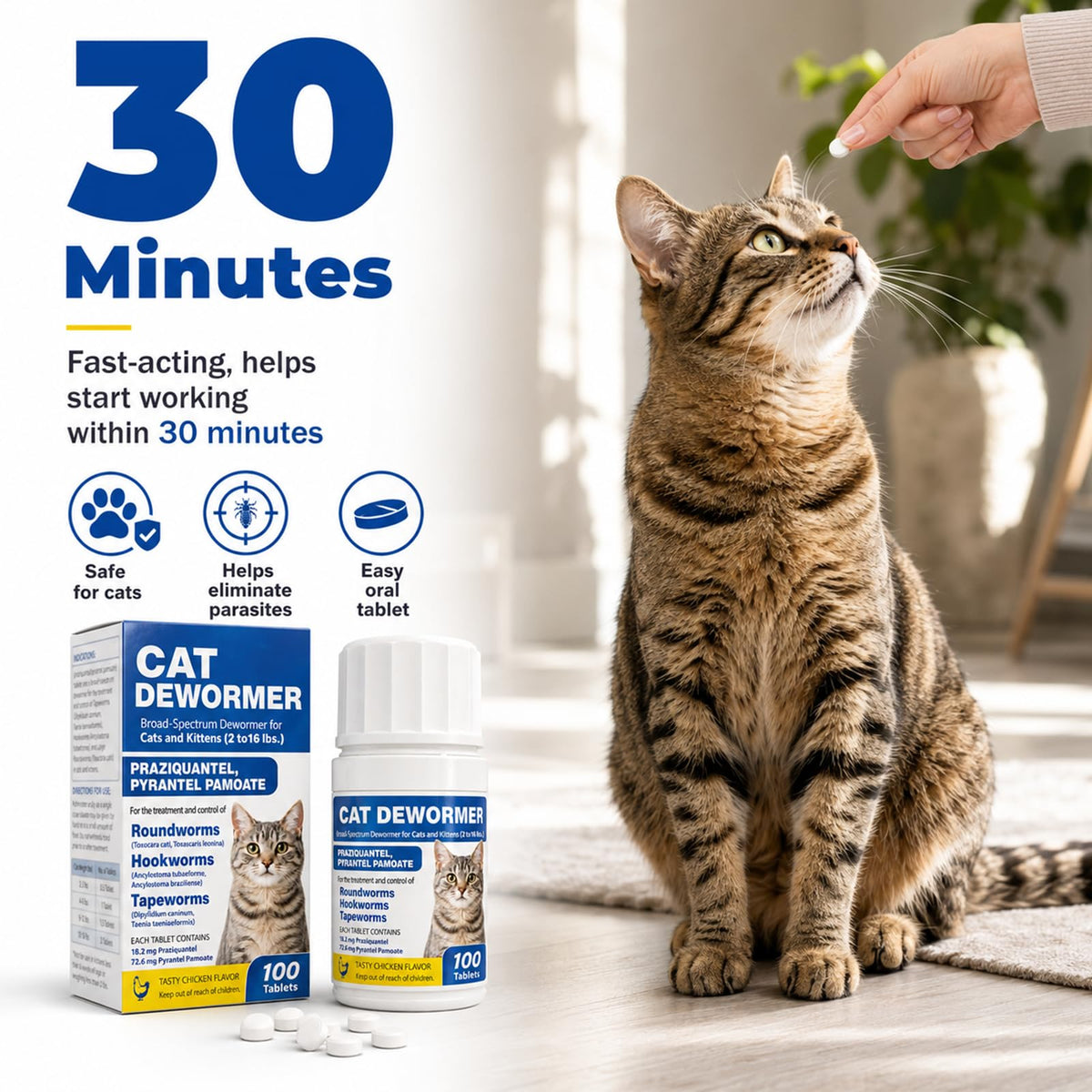 Cat and Kitten Dewormer 100 Tablets V9263