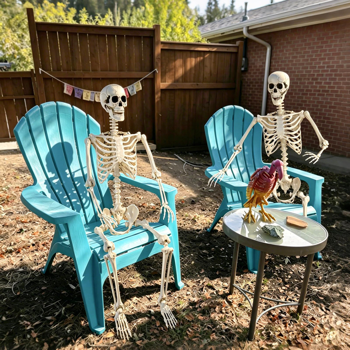 5.4ft Posable Skeleton N255