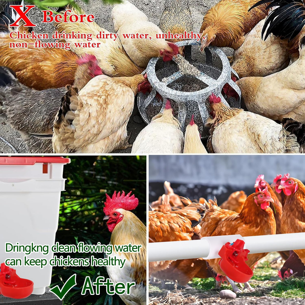 12-Pack Automatic Chicken Water Nipples with Cups A446726
