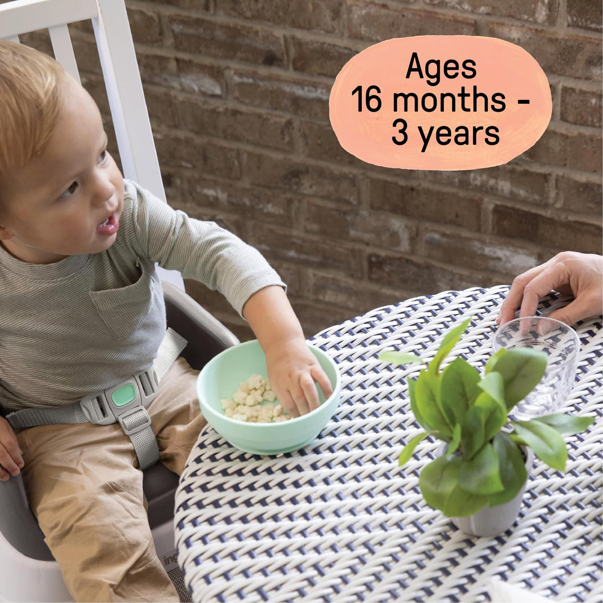 Lightweight Easy-Clean Toddler Booster Seat G525