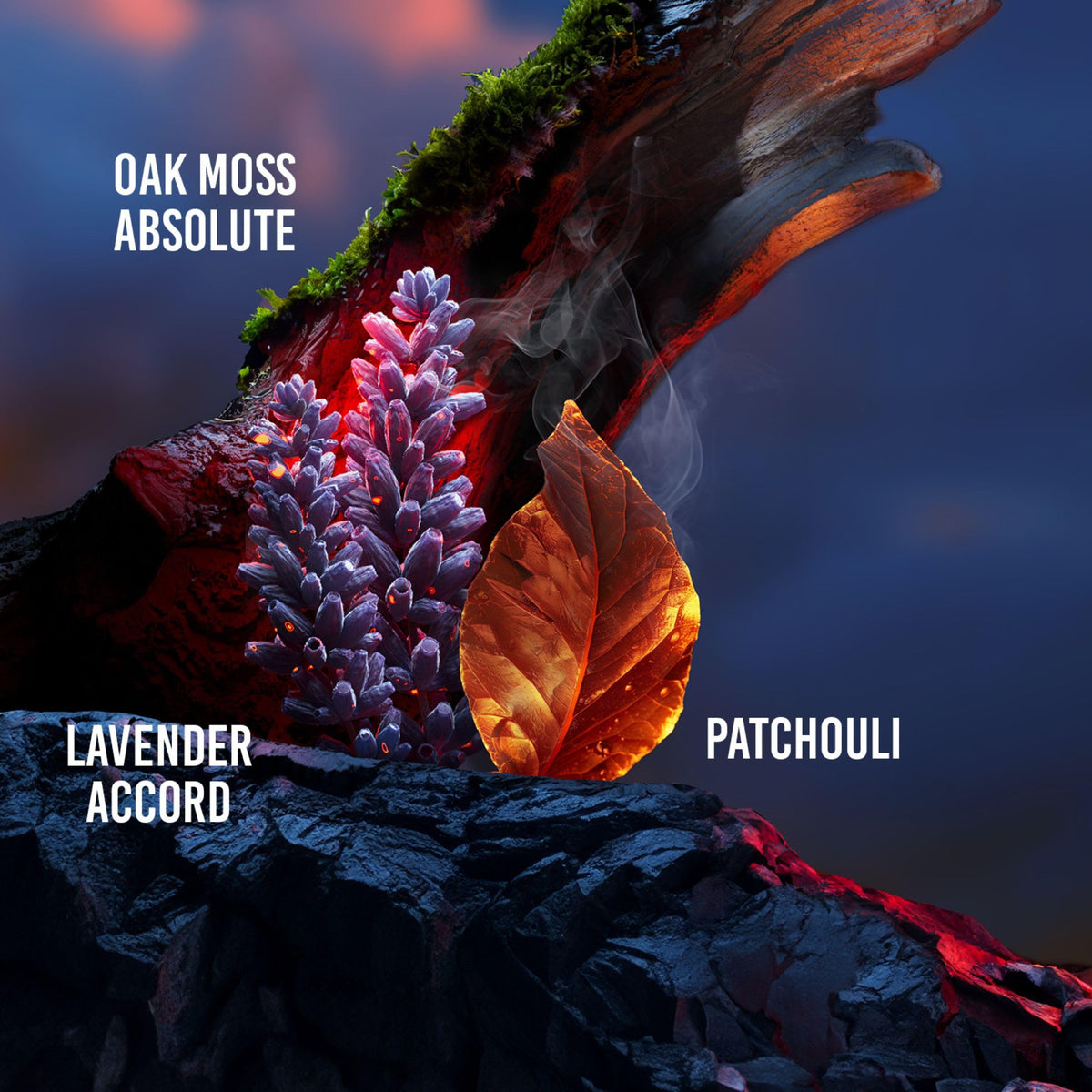 Eau de Toilette X42226