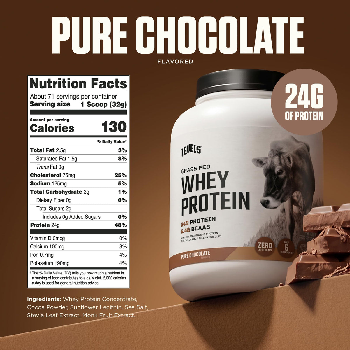 Whey Protein Powder Pure Chocolate 5LB S550075