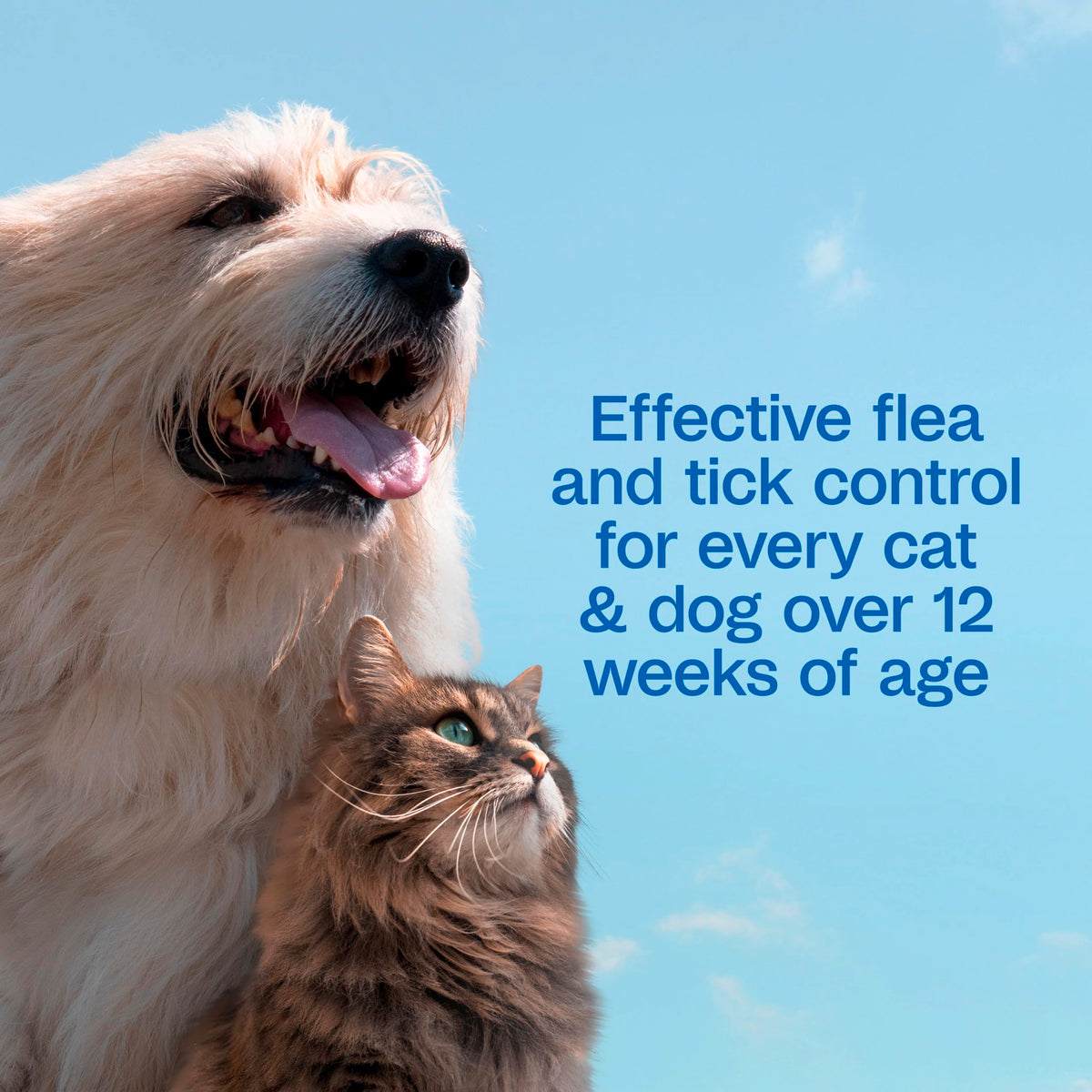 Flea & Tick Shampoo for Dogs 24 Ounces B707