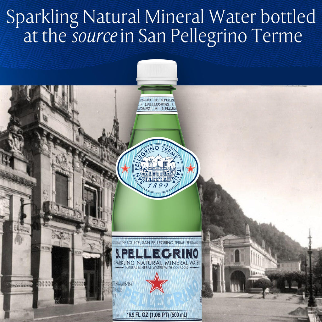 Sparkling Natural Mineral Water 16.9 Fl Oz Pack of 12 E805