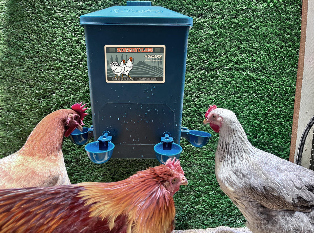 6 Gallon Chicken Waterer 2-Pack S72896