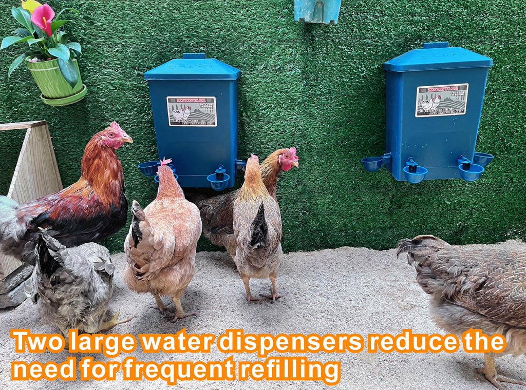 6 Gallon Chicken Waterer 2-Pack S72896