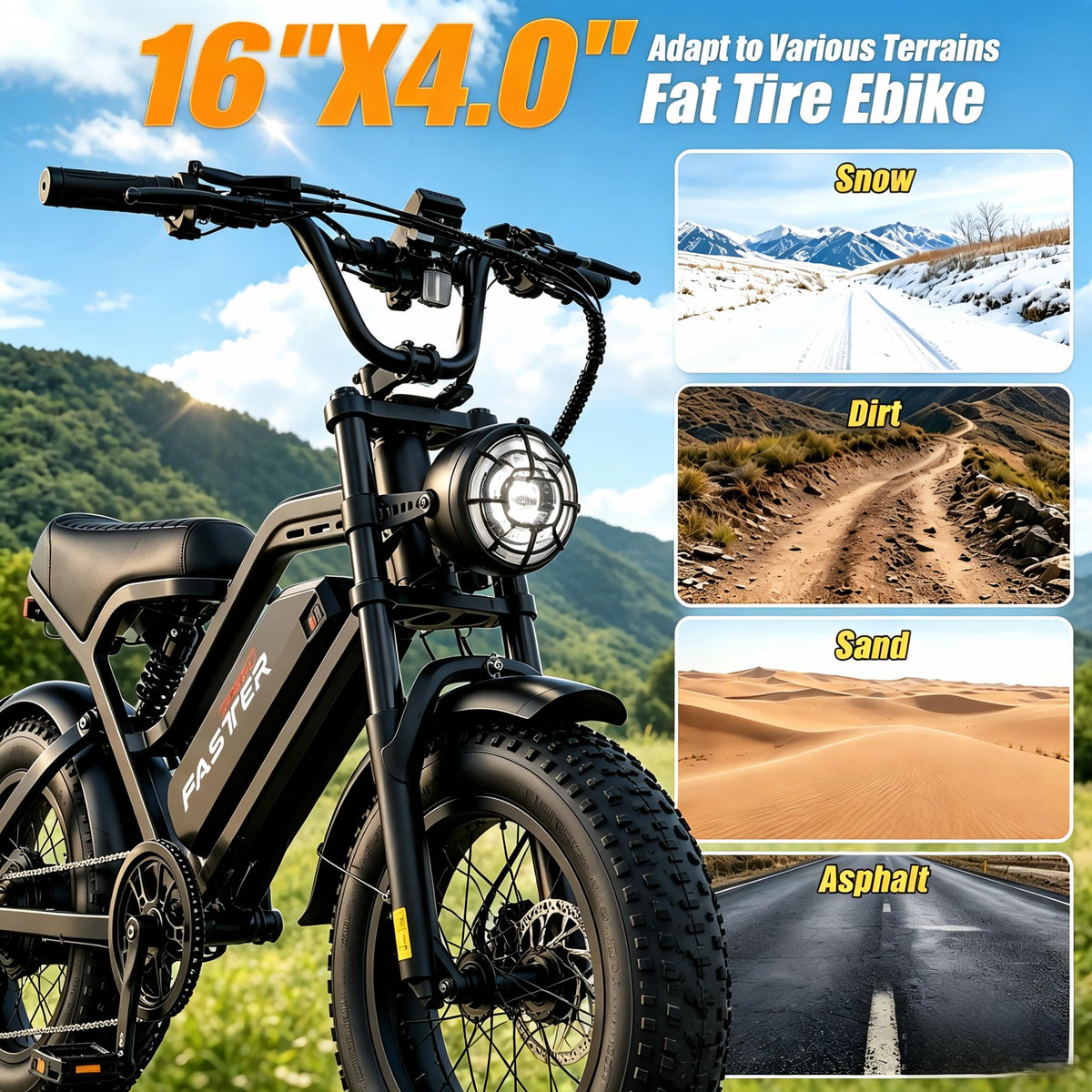 1000W 48V 16Ah Fat Tire Electric Bike Z829