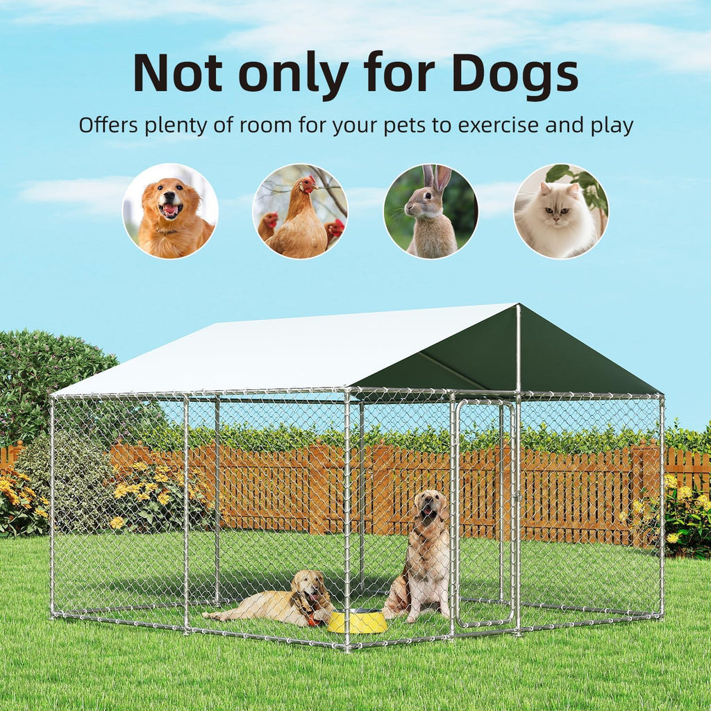 10'x10' Heavy Duty Outdoor Dog Kennel W6166