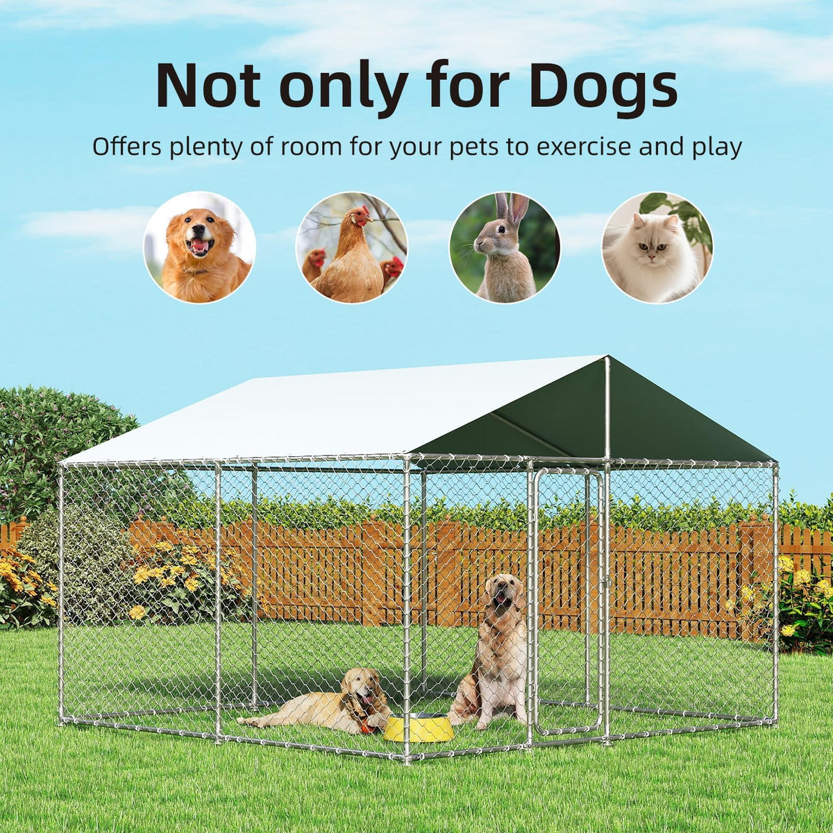 10'x10' Heavy Duty Outdoor Dog Kennel W6166