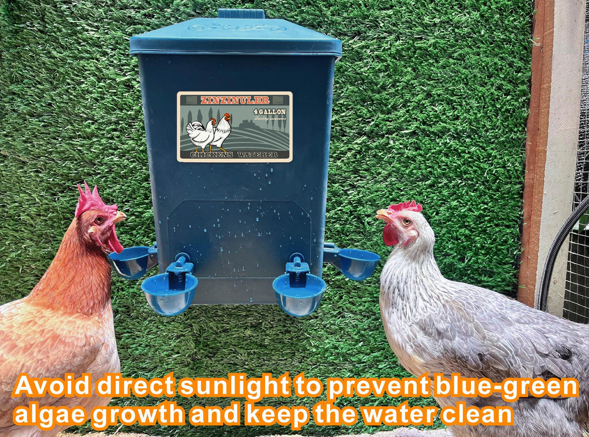 6 Gallon Chicken Waterer 2-Pack S72896